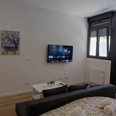 Una televisión o centro de entretenimiento en Manzanares Apartments