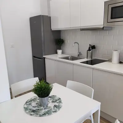 Una cocina o zona de cocina en Manzanares Apartments