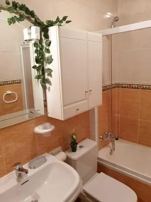 Un baño de Apartamentos Dana Sol