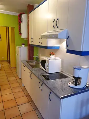 Una cocina o zona de cocina en Apartamentos Dana Sol
