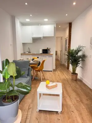 Una cocina o zona de cocina en Apartamento Atocha/Reina Sofía
