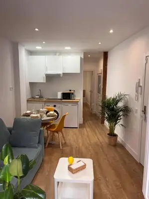 Una cocina o zona de cocina en Apartamento Atocha/Reina Sofía
