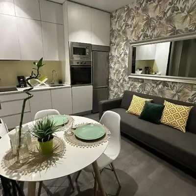 Apartamento 1 hab en La Latina - Madrid Centro