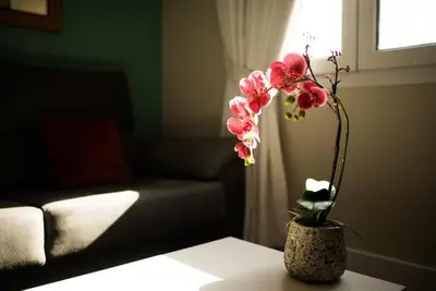 Cama o camas de una habitación en Apartamentos Cruz