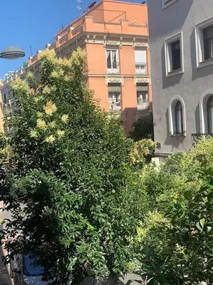 Edificio en el que se encuentra el apartamento