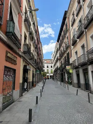 El barrio de los alrededores o un barrio cerca de este apartamento