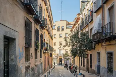 El barrio de los alrededores o un barrio cerca de este apartamento
