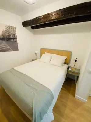 Cama o camas de una habitación en Spectacular apartment Atocha-SOLER