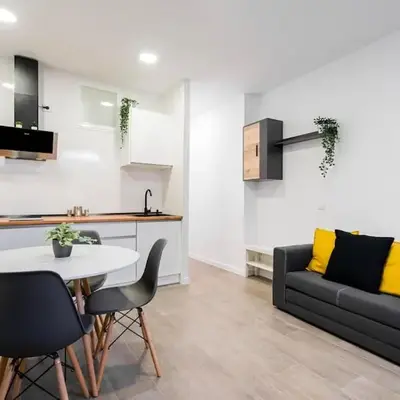 Nice apartment in the center of Madrid-S-EL-VERDE