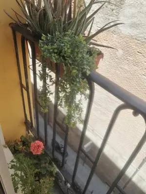 Un balcón o terraza de Apartamento en el Rastro