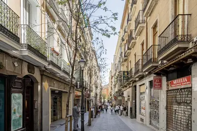 El barrio de los alrededores o un barrio cerca de este apartamento