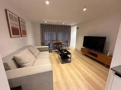 Una televisión o centro de entretenimiento en Loft Atocha 43