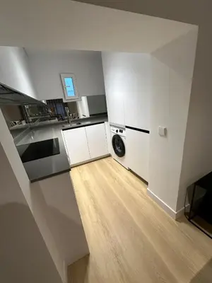 Una cocina o zona de cocina en Loft Atocha 43