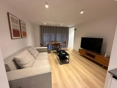 Una televisión o centro de entretenimiento en Loft Atocha 43