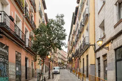 El barrio de los alrededores o un barrio cerca de este apartamento