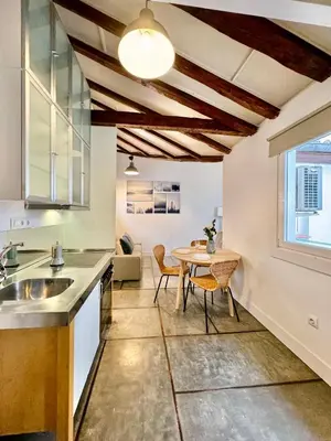 Una cocina o zona de cocina en Tirso de Molina IV - Estudio en el Centro