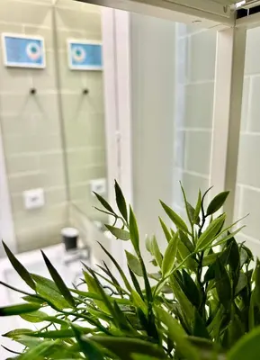 Un baño de WAKAFLATS 1, Centro Madrid, Chueca, SB