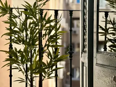 Jardín al aire libre en Madrid Charm 2BD private flat - CITY CENTER