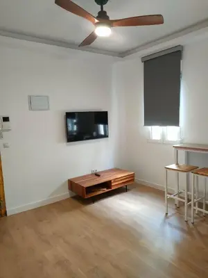 Una televisión o centro de entretenimiento en Acogedor apartamento Madrid centro
