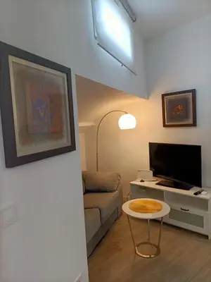 Una televisión o centro de entretenimiento en Apartamento Gran Vía Madrid W2 9