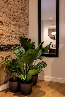 Plano de New designed flat 3 bedrooms 2 showers