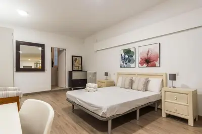 Cama o camas de una habitación en Cozy apartment - 1Bedroom 1Bathroom - Salamanca
