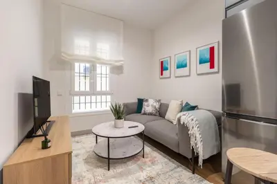 Una televisión o centro de entretenimiento en Charming 1-Bed Apartment in Chamberí Madrid