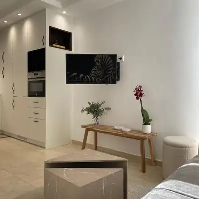 Cozy apartment in Malasaña