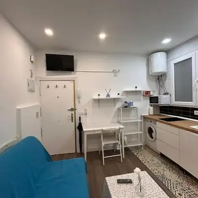 Centrally located flat in Madrid M80.8