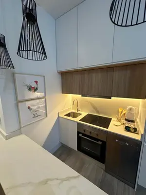 Una cocina o zona de cocina en Apartamentos Moncloa