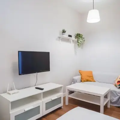 Cozy apartment-1Bedroom 1Bathroom-Lavapiés