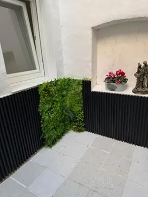 Jardín al aire libre en Madrid tofi 3
