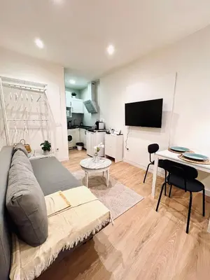 Una televisión o centro de entretenimiento en Apartamento Centro de Madrid