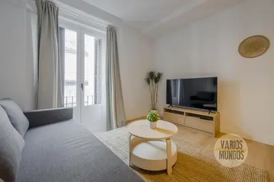 Una televisión o centro de entretenimiento en Comodo y centrico Loft en calle Carretas - Madrid Centro