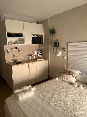 Una cocina o zona de cocina en GARDEN HOUSE Madrid