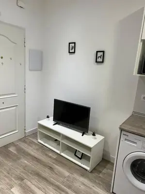 Una televisión o centro de entretenimiento en Apartamento Acogedor Carpetana