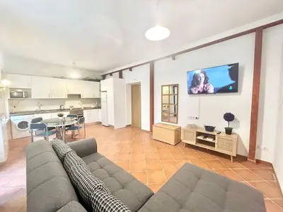 Una televisión o centro de entretenimiento en Centro Lavapiés Mesón D Paredes