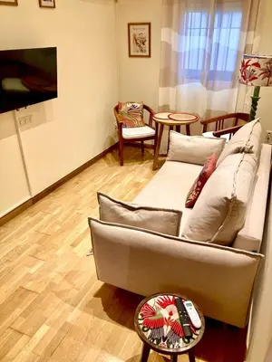 Una televisión o centro de entretenimiento en Encantador apartamento céntrico en Barrio Salamanca, junto a WiZink Center Movistar Arena y Plaza de Toros Las Ventas