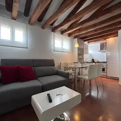 Emblematic flat in Madrid Central - Arenal