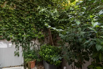Jardín al aire libre en Encanto y Comfort en Habitaciones de Pilar de Zaragoza