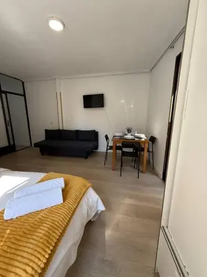 Cama o camas de una habitación en Apartamento Centro De Madrid Aduana