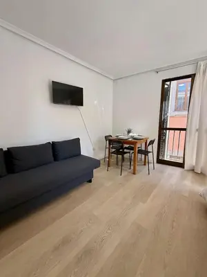 Una televisión o centro de entretenimiento en Apartamento Centro De Madrid Aduana
