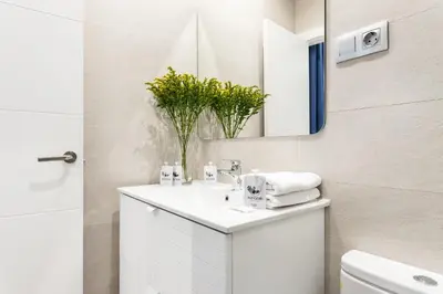 Un baño de Waou Gran Via IV - Alquiler Corta Duración