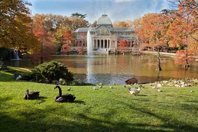 Jardín al aire libre en ººººMY CityCentre SOL WiFi AC SmartTVºººº