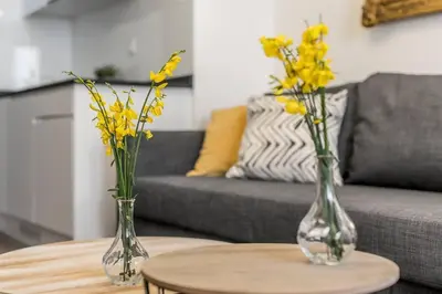 Zona de estar de BEST LOCATION IN THE CITY OF MADRID! 166