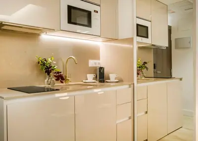 Una cocina o zona de cocina en Serrano- Retiro Park-Plaza de Cibeles