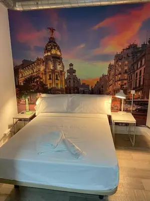 Cama o camas de una habitación en CITY SOL Madrid