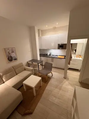 Una cocina o zona de cocina en Apartamento cerca del Movistar-Arena Wizink
