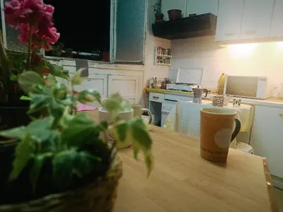 Una cocina o zona de cocina en habitación pequeñita con baño compartido