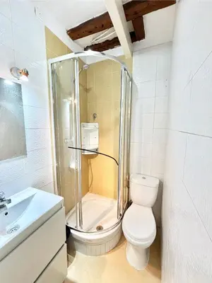 Un baño de Centro San Isidro Labrador 01